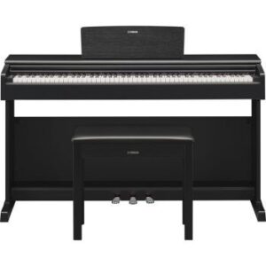 پیانو دیجیتال یاماها | YDP-145 Yamaha YDP-145 Digital Piano